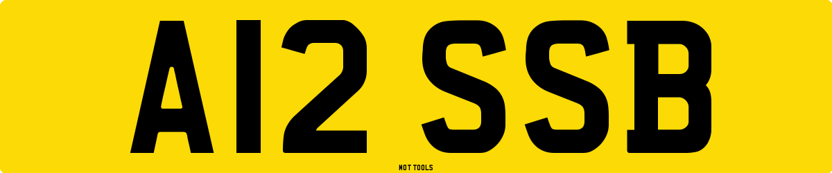 A12SSB MOT Check