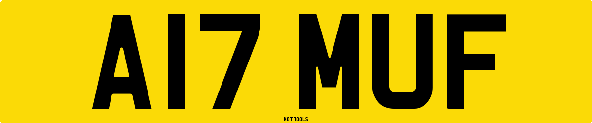 A17MUF MOT Check