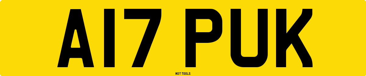 A17PUK MOT Check