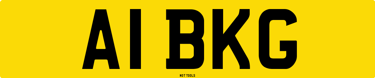 A1BKG MOT Check