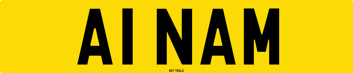 A1NAM MOT Check