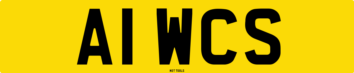 A1WCS MOT Check