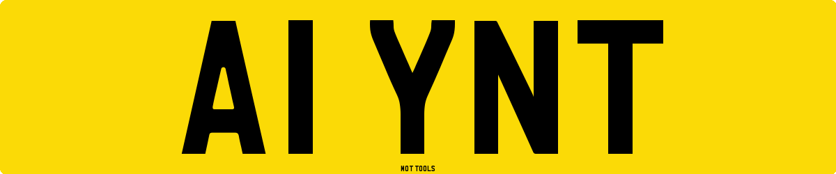 A1YNT MOT Check