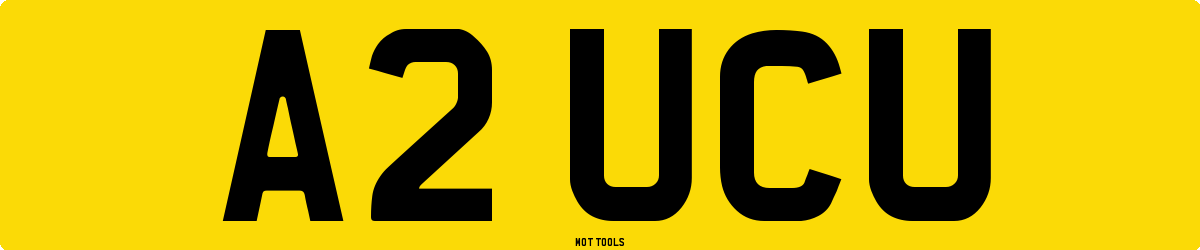 A2UCU MOT Check