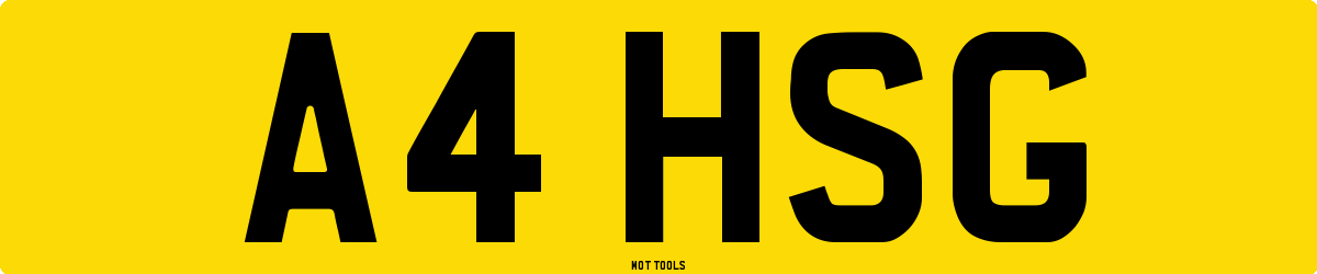 A4HSG MOT Check