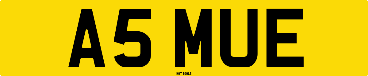 A5MUE MOT Check