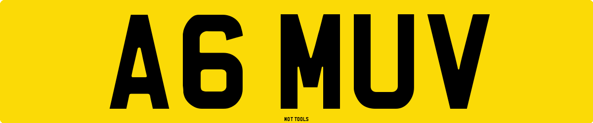 A6MUV MOT Check