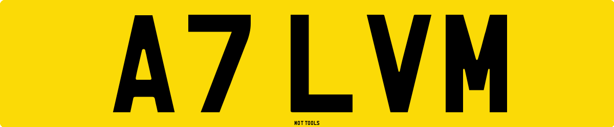 A7LVM MOT Check