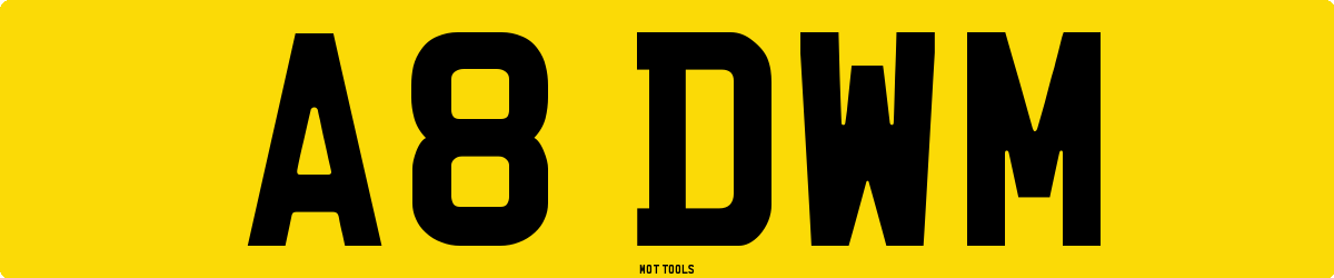 A8DWM MOT Check