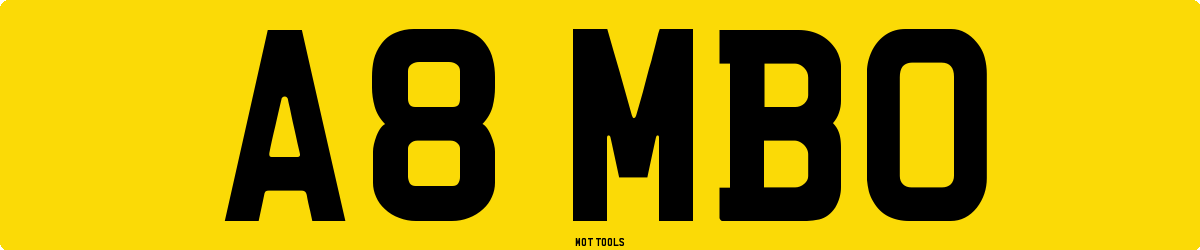 A8MBO MOT Check