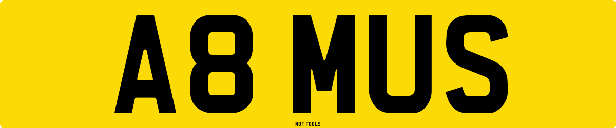 A8MUS MOT Check