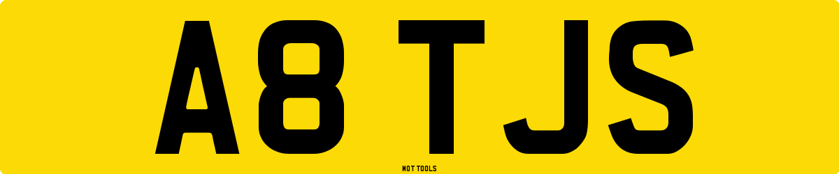 A8TJS MOT Check