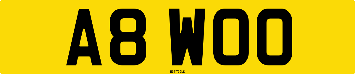A8WOO MOT Check