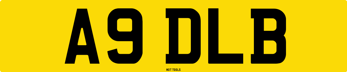 A9DLB MOT Check