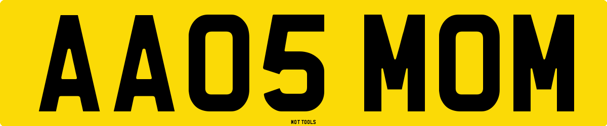 AA05MOM MOT Check