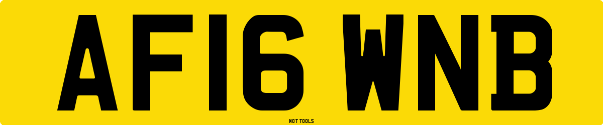 AF16WNB MOT Check