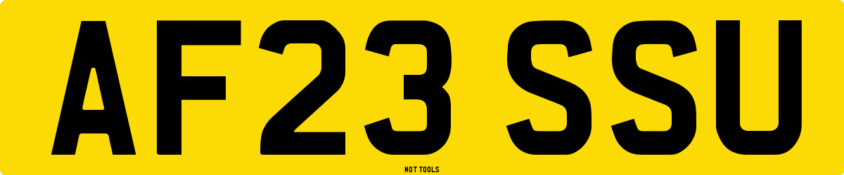 AF23SSU MOT Check