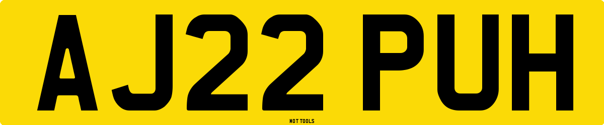 AJ22PUH MOT Check