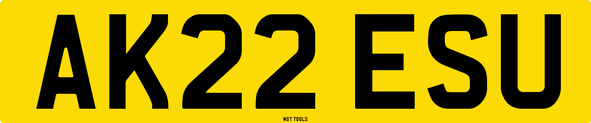 AK22ESU MOT Check