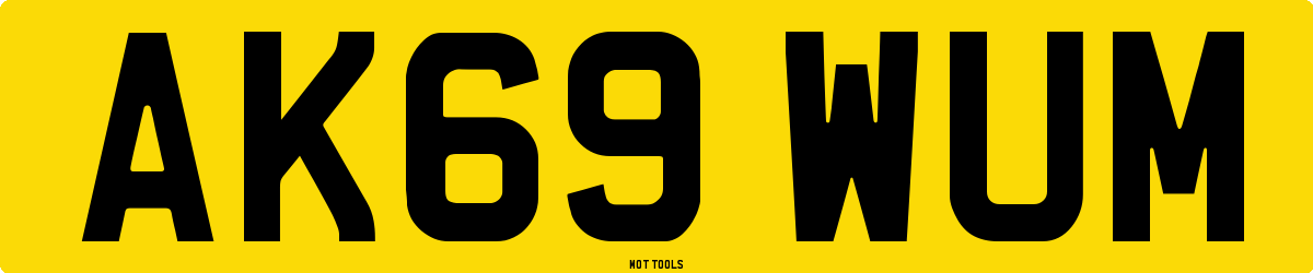 AK69WUM MOT Check