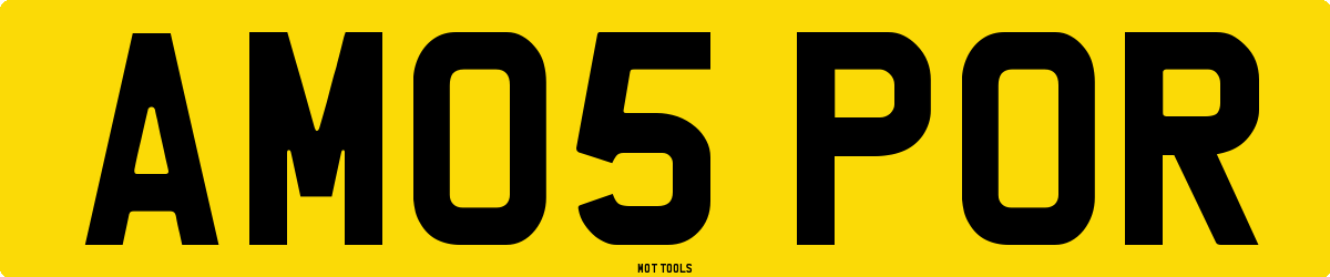 AM05POR MOT Check