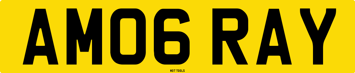 AM06RAY MOT Check