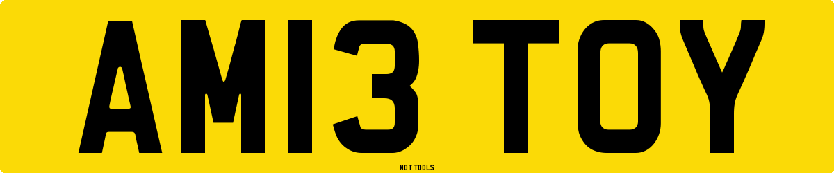 AM13TOY MOT Check