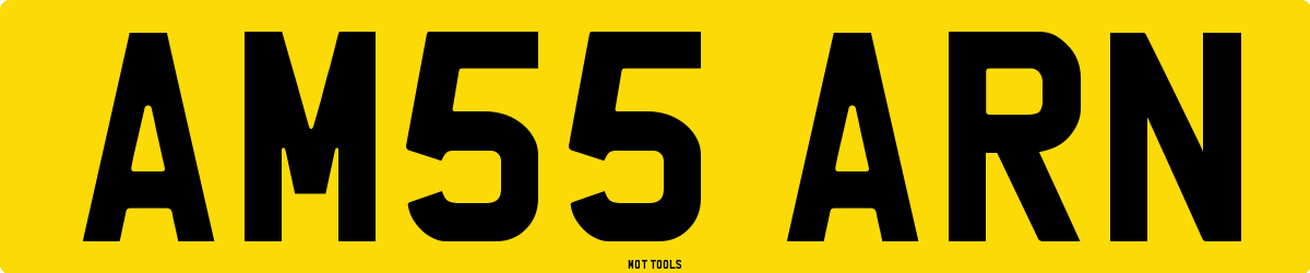 AM55ARN MOT Check