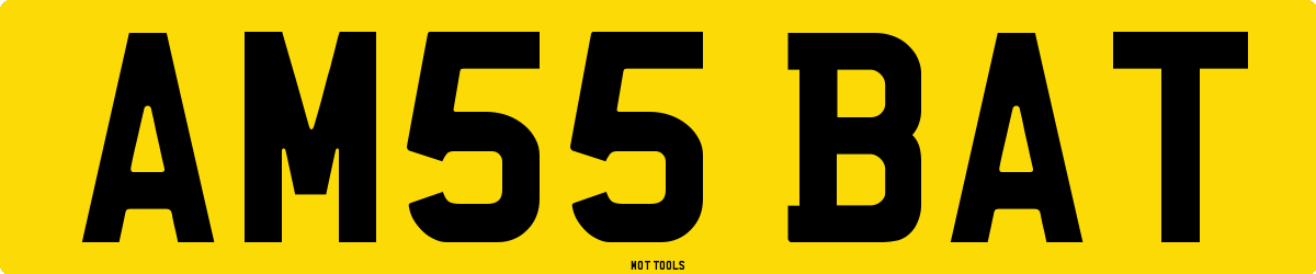 AM55BAT MOT Check