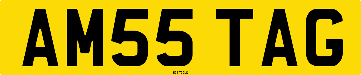 AM55TAG MOT Check