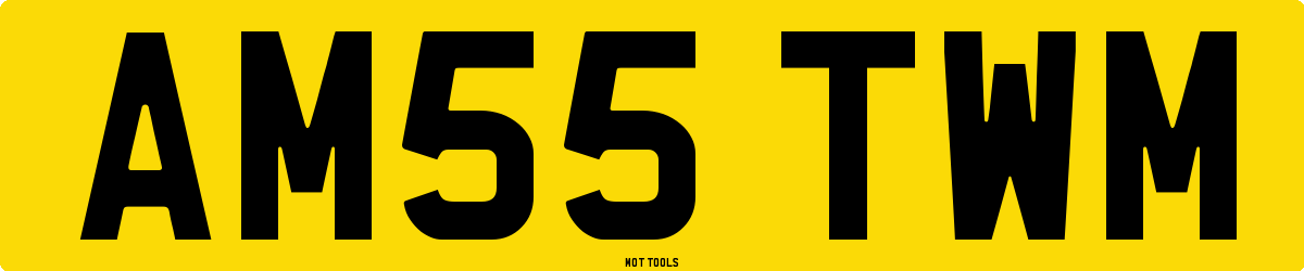AM55TWM MOT Check
