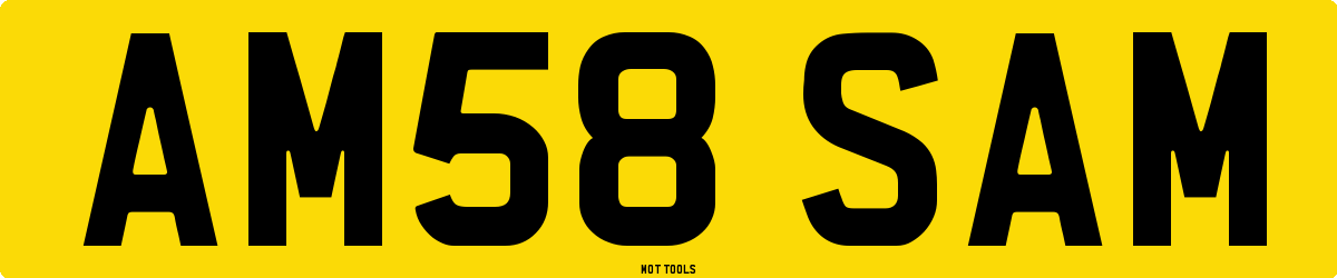 AM58SAM MOT Check