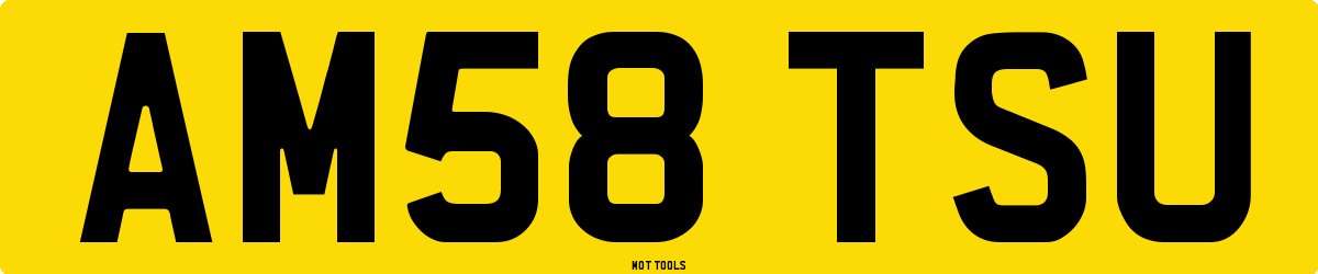AM58TSU MOT Check