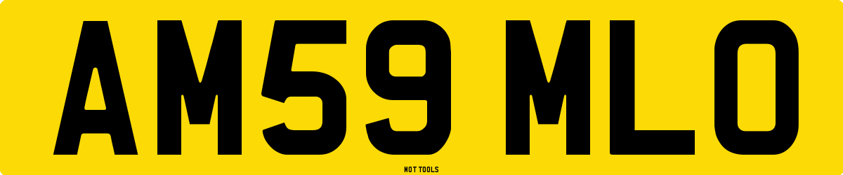 AM59MLO MOT Check