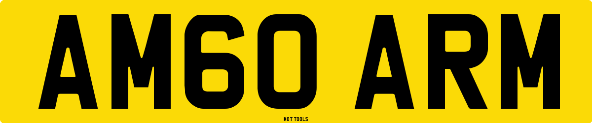 AM60ARM MOT Check