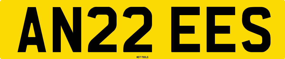 AN22EES MOT Check