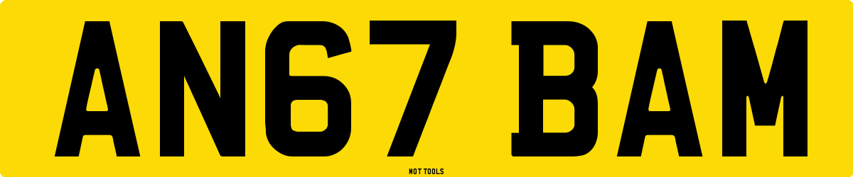 AN67BAM MOT Check
