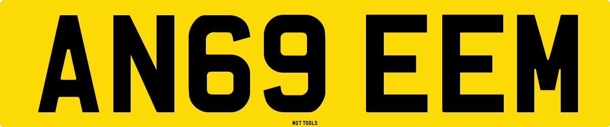 AN69EEM MOT Check