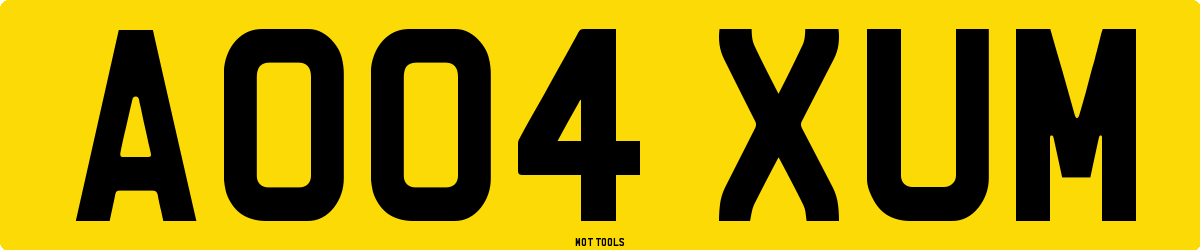 AO04XUM MOT Check