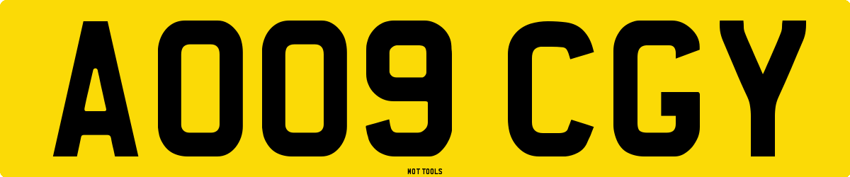 AO09CGY MOT Check