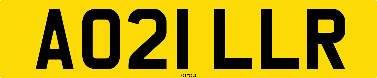 AO21LLR MOT Check