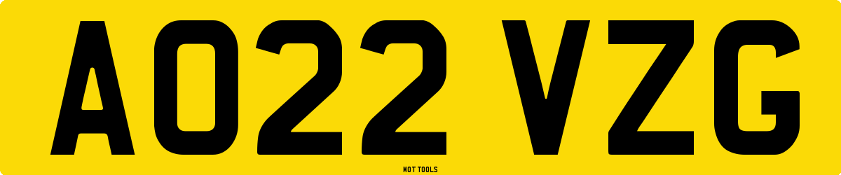 AO22VZG MOT Check