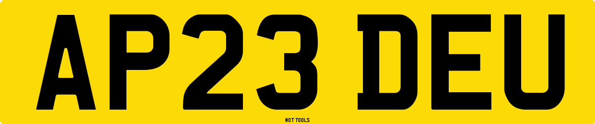 AP23DEU MOT Check