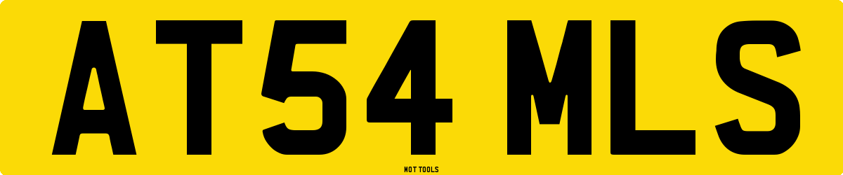 AT54MLS MOT Check