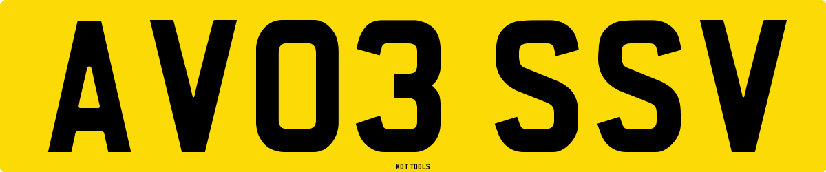 AV03SSV MOT Check