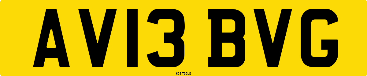 AV13BVG MOT Check