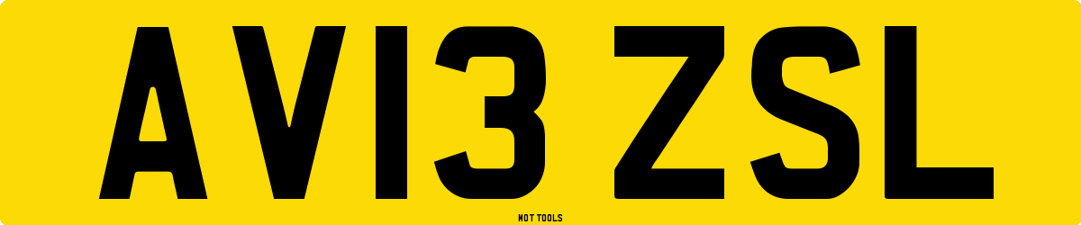 AV13ZSL MOT Check