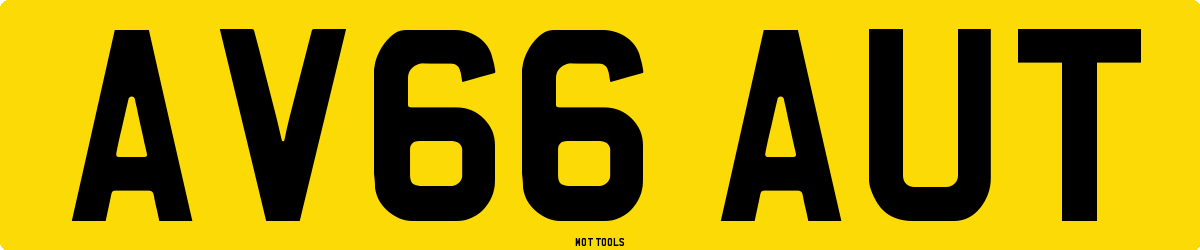 AV66AUT MOT Check