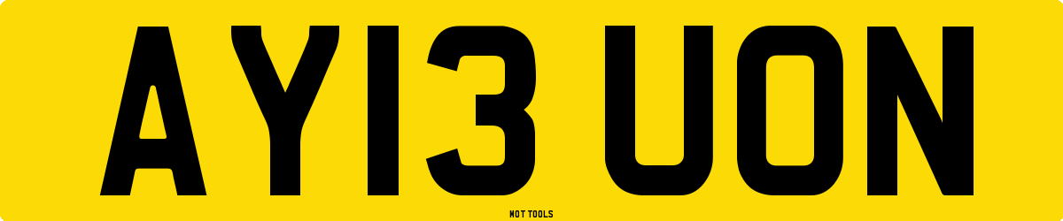 AY13UON MOT Check