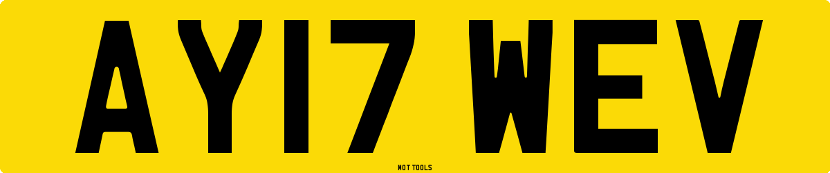 AY17WEV MOT Check